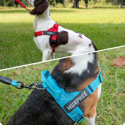 The Perfect Walk Bundle