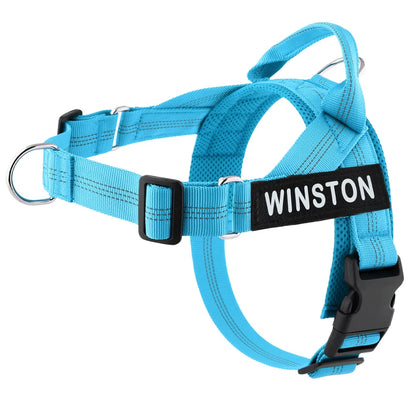 The Perfect Walk Bundle