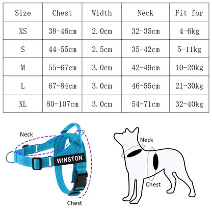 The Perfect Walk Bundle