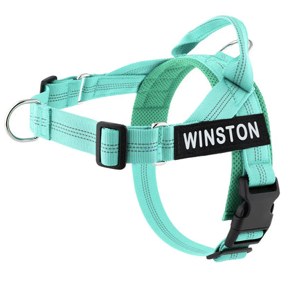 The Perfect Walk Bundle