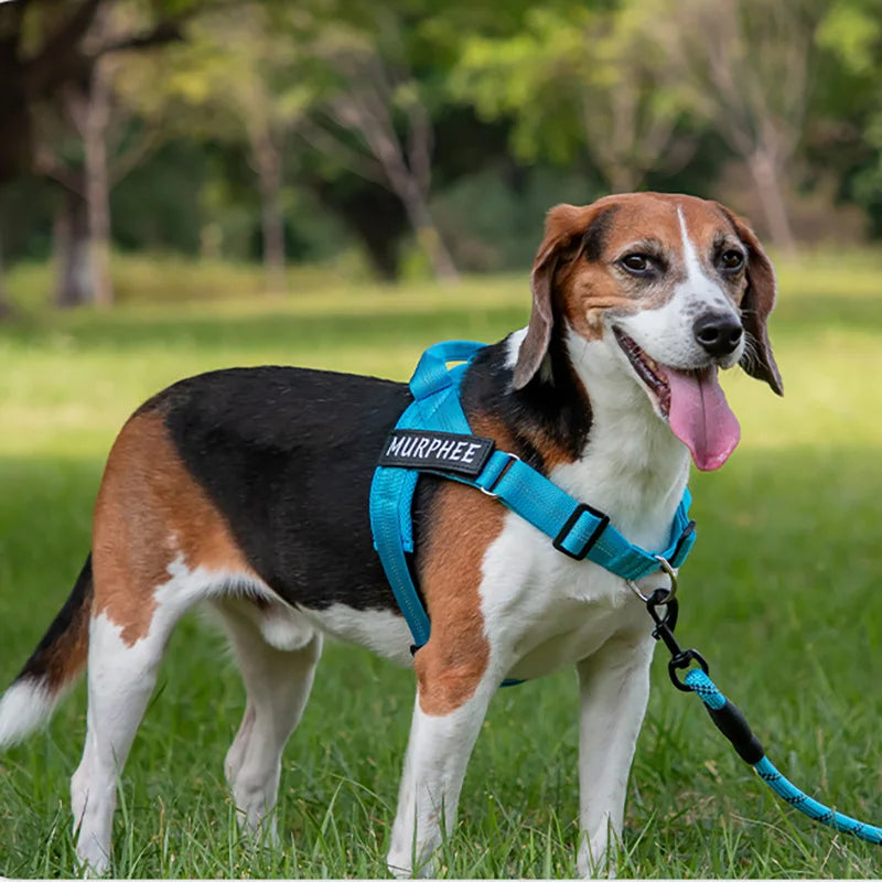The Perfect Walk Bundle