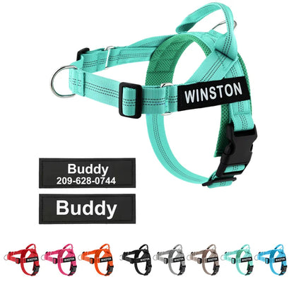 The Perfect Walk Bundle