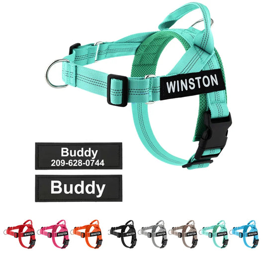 The Perfect Walk Bundle