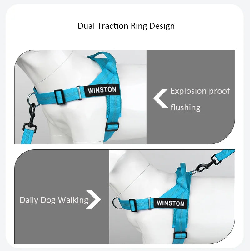 The Perfect Walk Bundle