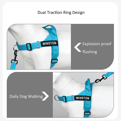The Perfect Walk Bundle