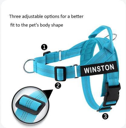 The Perfect Walk Bundle